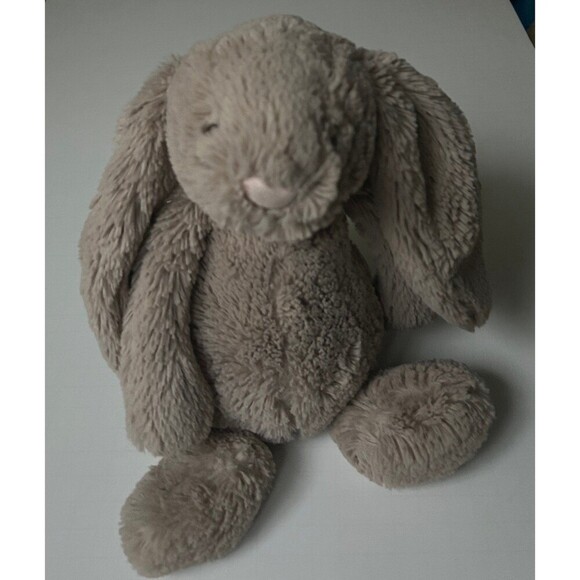 Jellycat Bunny Rabbit Soft Stuffed Animal Toy Floppy - Picture 1 of 7